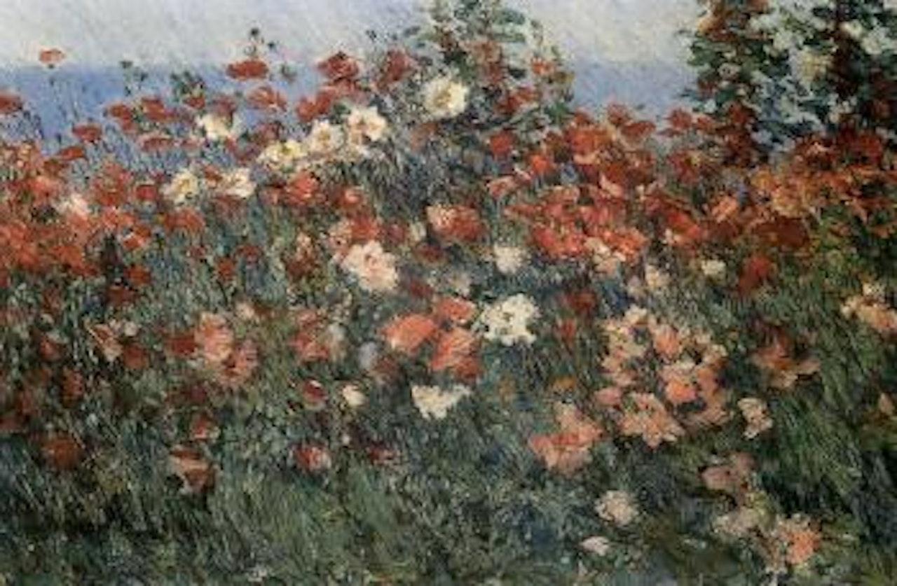 Poppies in a field by Childe Hassam