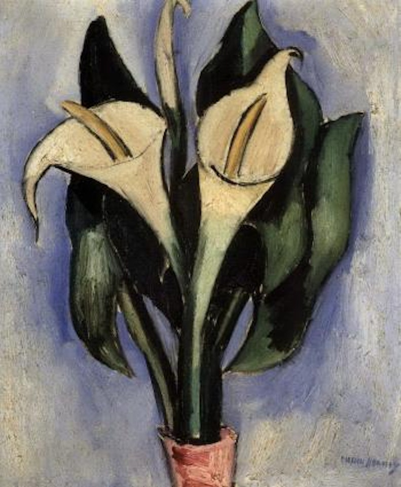Callas by Marsden Hartley