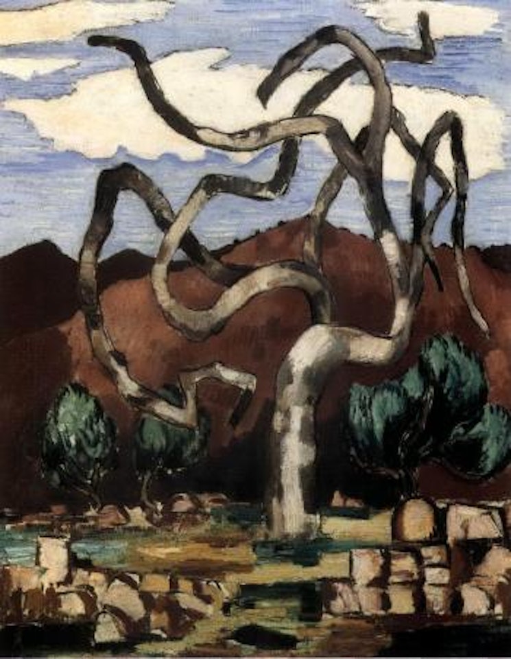Fig tree in winter, Provence by Marsden Hartley