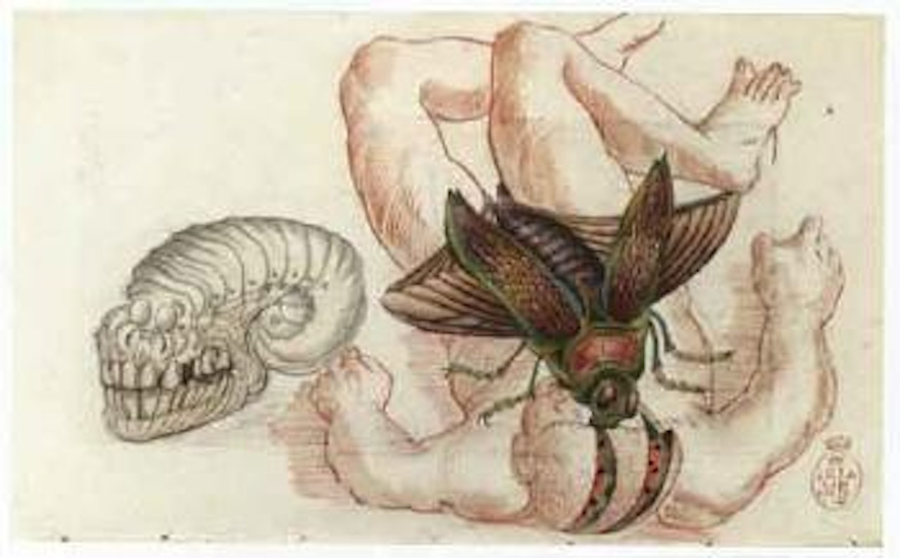 Metamorphose by Salvador Dali