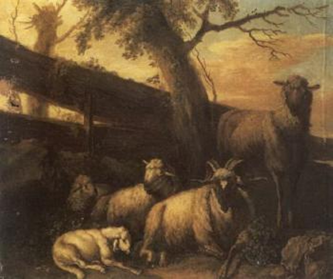 Sheep resting beside fence in landscape by Philipp Peter Roos