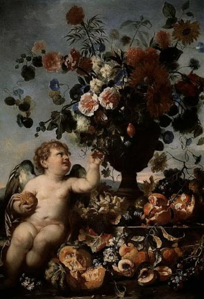 Still life of flowers in urn with fruit on stone ledge and winged putto by Franz Werner von Tamm