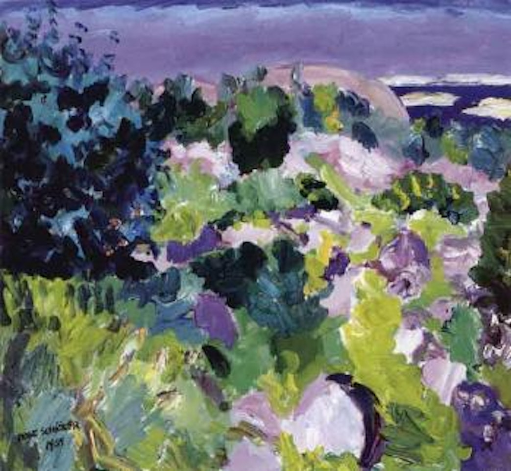 View from the verandah by Inge Schiöler