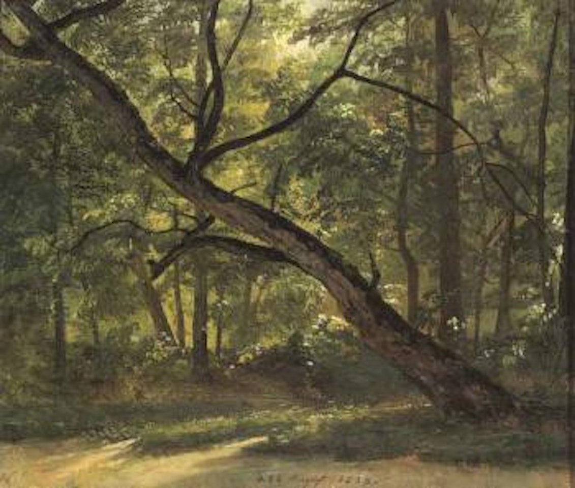 Landscape from the Grosse Garten near Dresden by Johan Christian Clausen Dahl