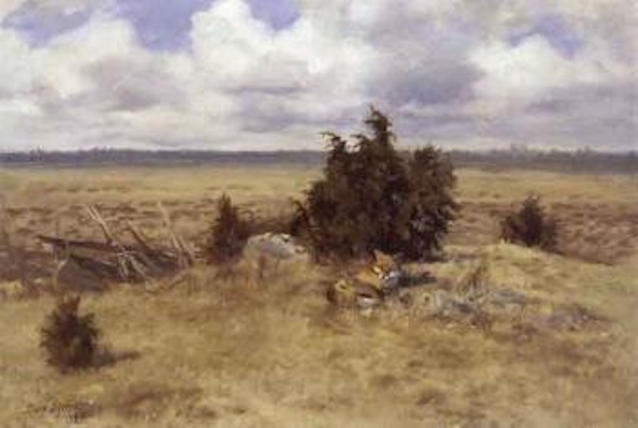 Fox in landscape by Bruno Liljefors
