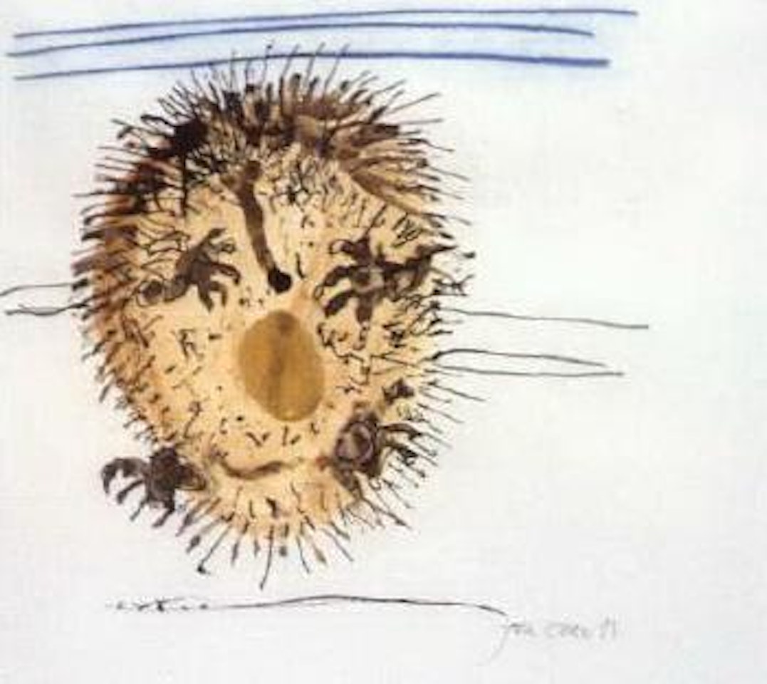 Echidna upside down by John Olsen