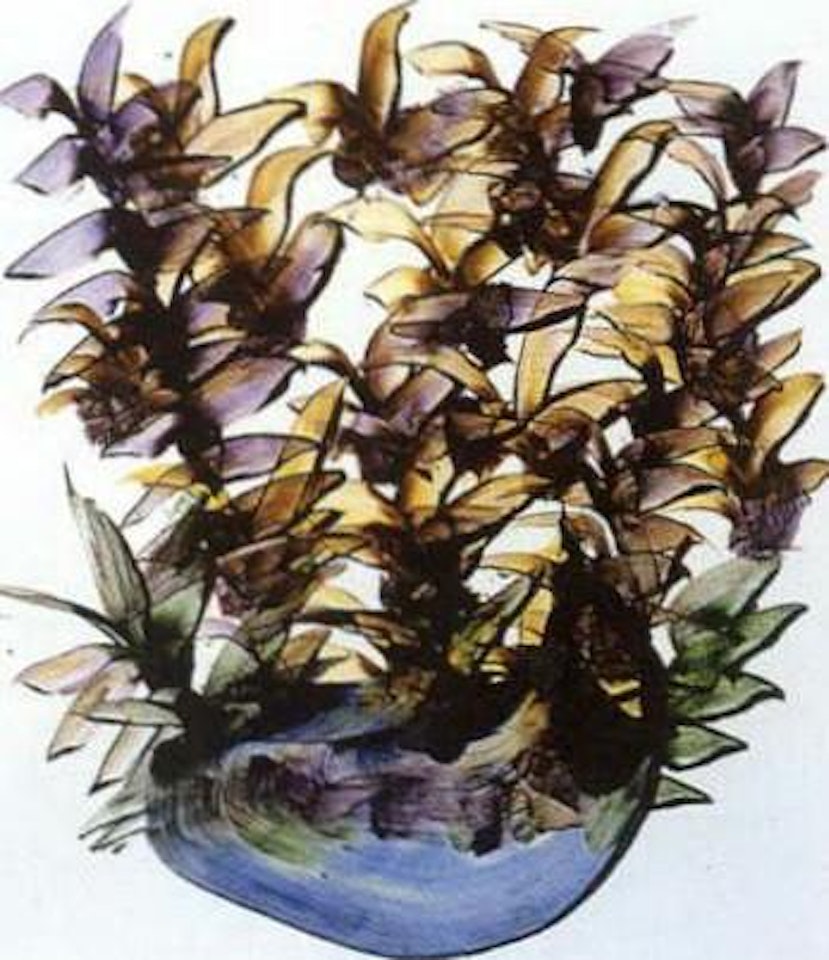 Blue vase of Natives by Sidney Nolan