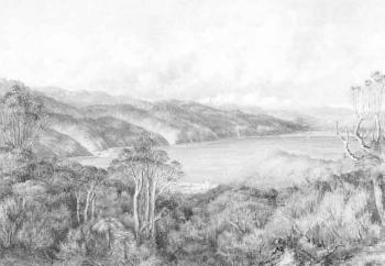 Wellington, New Zealand by Charles Decimus Barraud