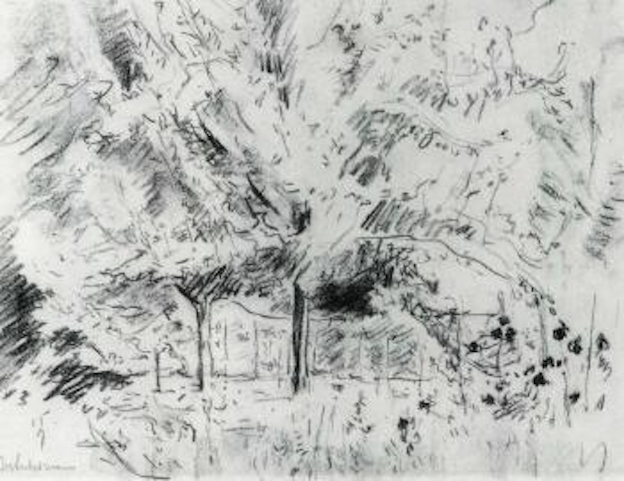 Nutzgarten in Wannsee by Max Liebermann