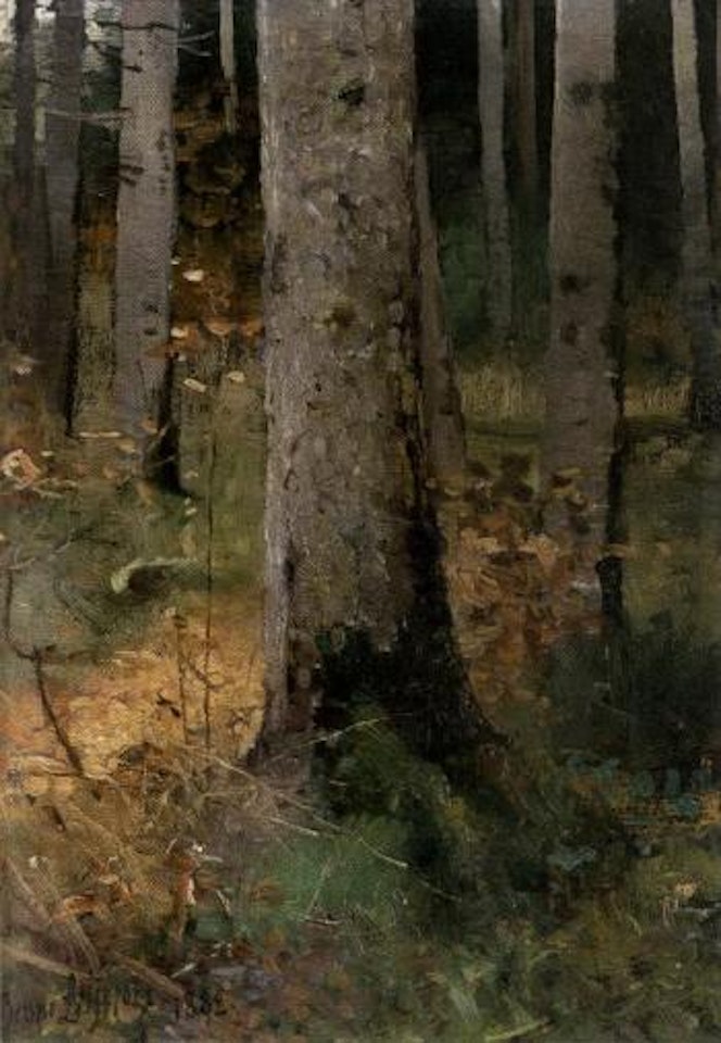 Woodland glade by Bruno Liljefors