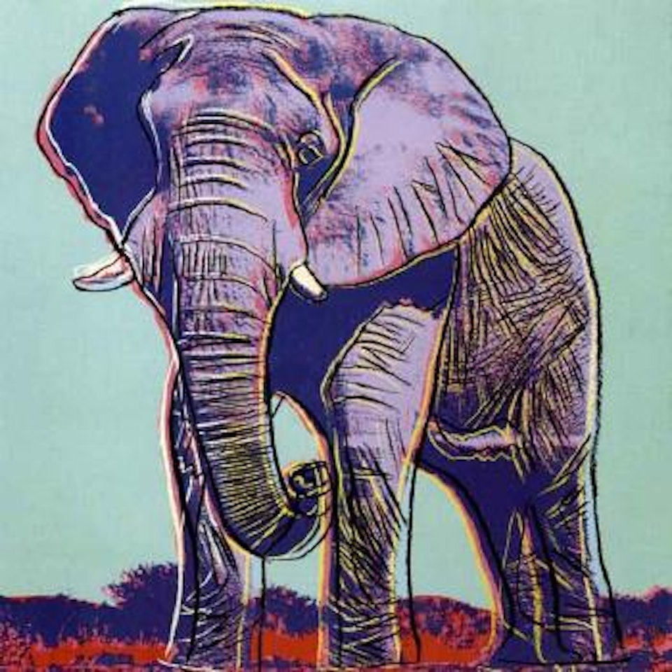 African elephant by Andy Warhol