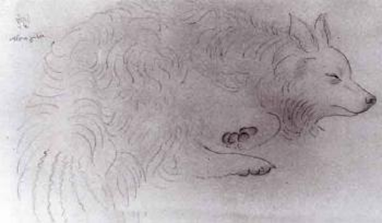 Chien assoupi by Leonard Tsuguharu Foujita