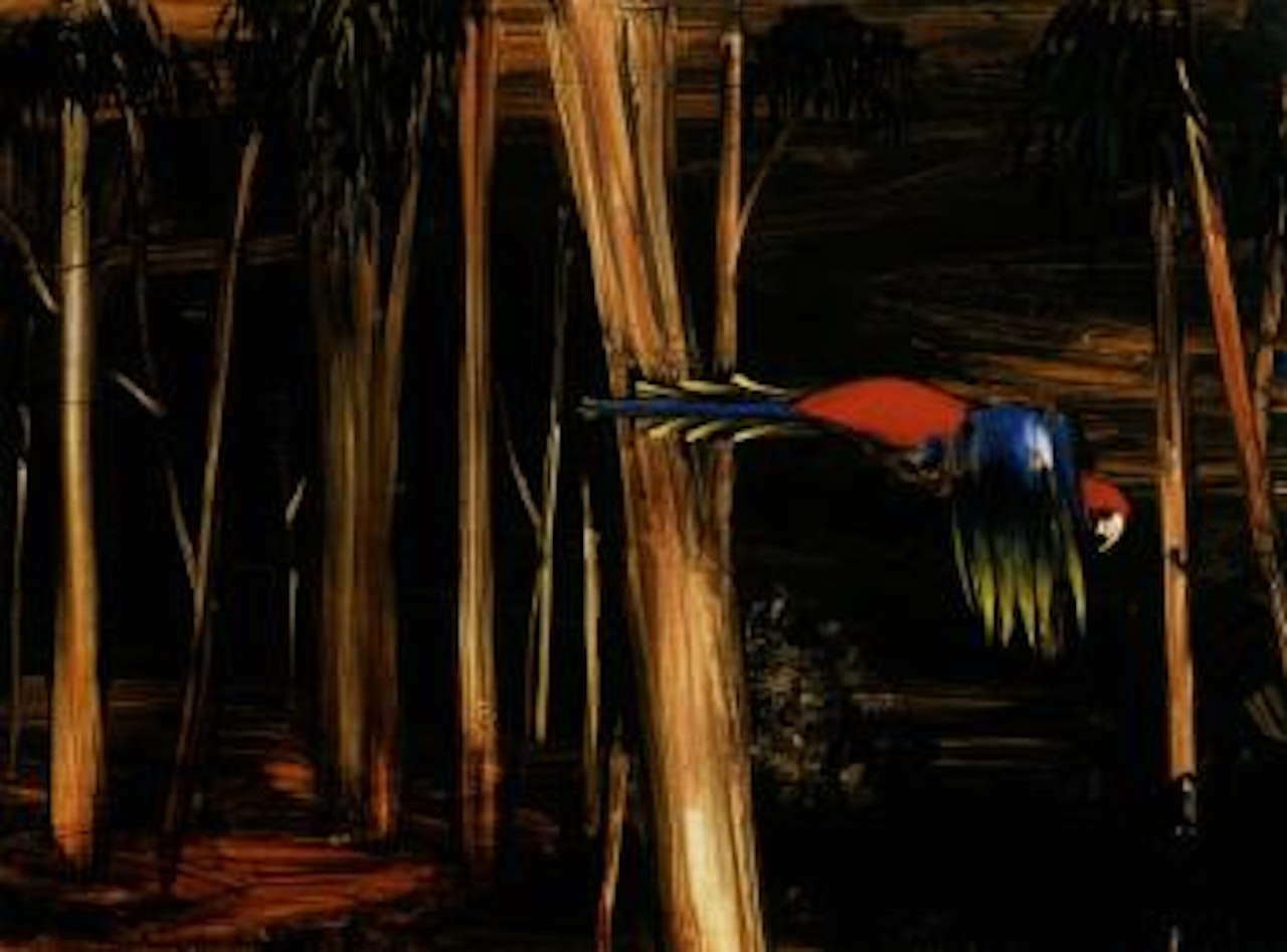 Flying parrot by Albert Tucker