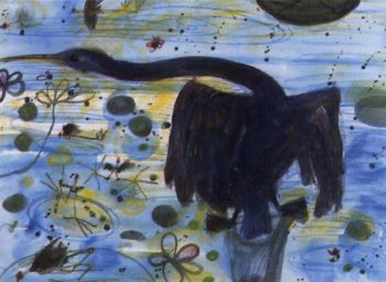 Cormorant and Jacanas by John Olsen