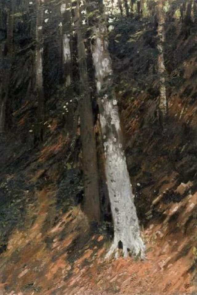 Wooded landscape by Hans am Ende