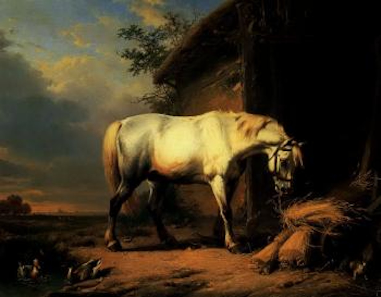 Gray stallion by Eugène Joseph Verboeckhoven