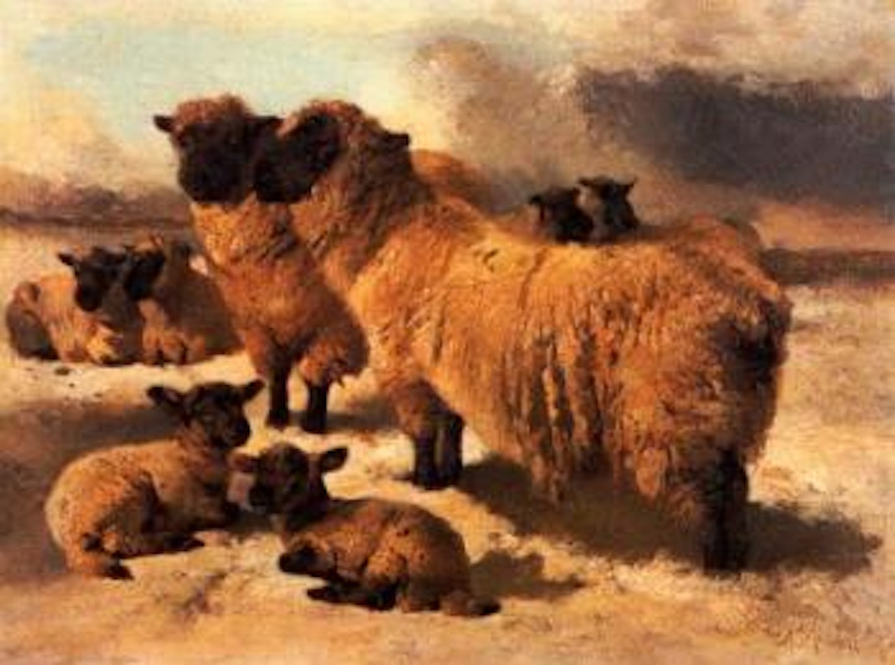 Sheep in the snow by Richard Ansdell