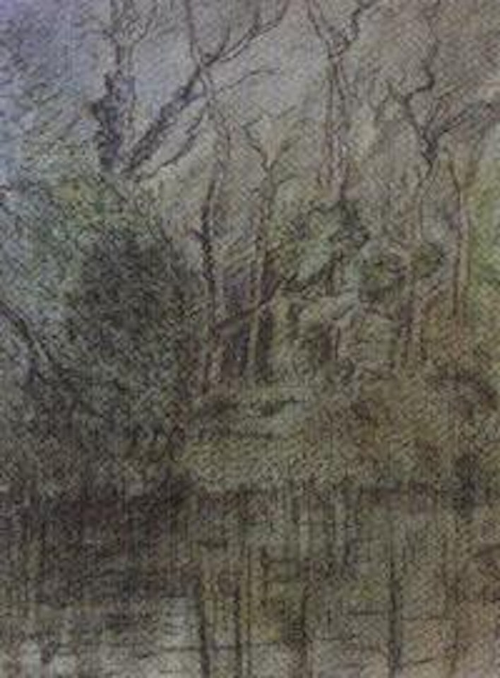 Woodland stream by William Conor