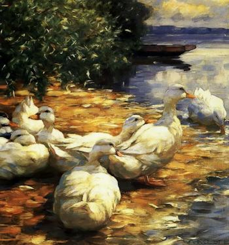 Eleven ducks by Alexander Koester