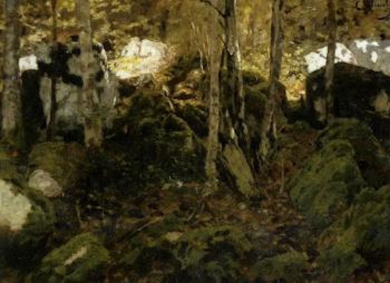 Deep in woods by Carl Schuch