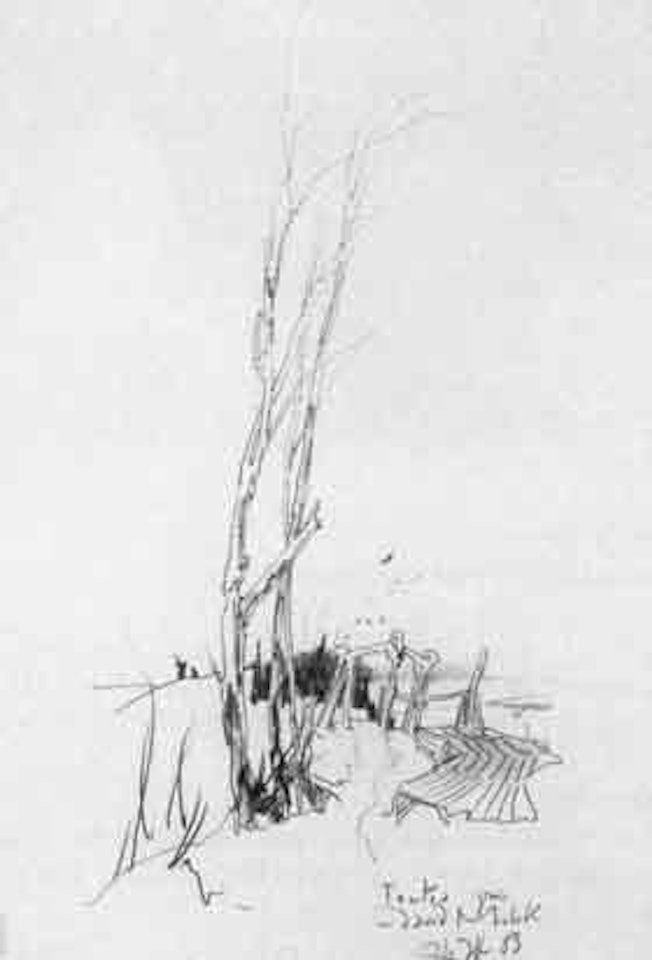 Birch trees by shore by Horst Janssen