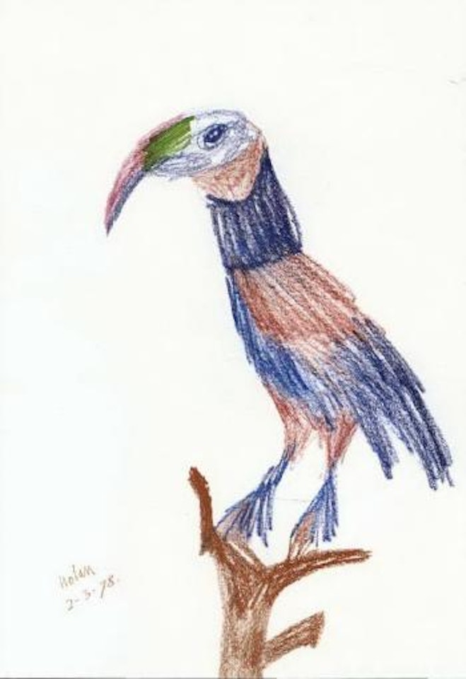 Bird by Sidney Nolan
