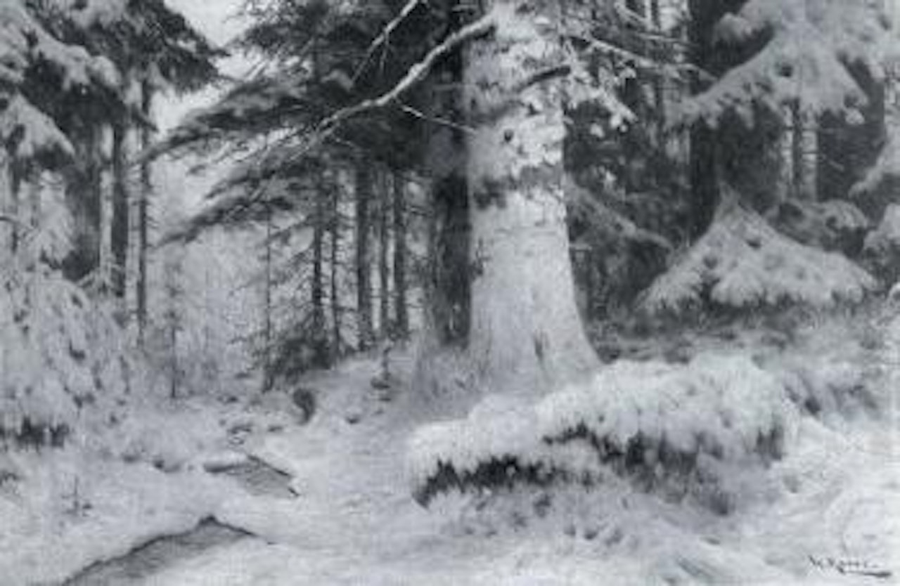 Snowy pine wood bathed in the last rays of the sun by Walter Moras
