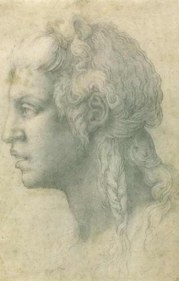 An ideal head seen in profile after Michelangelo by Francesco Salviati