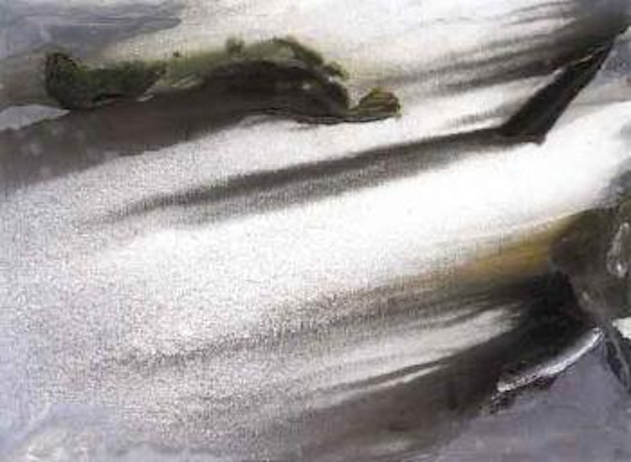 Fjord sombre et clair by Olivier Debre