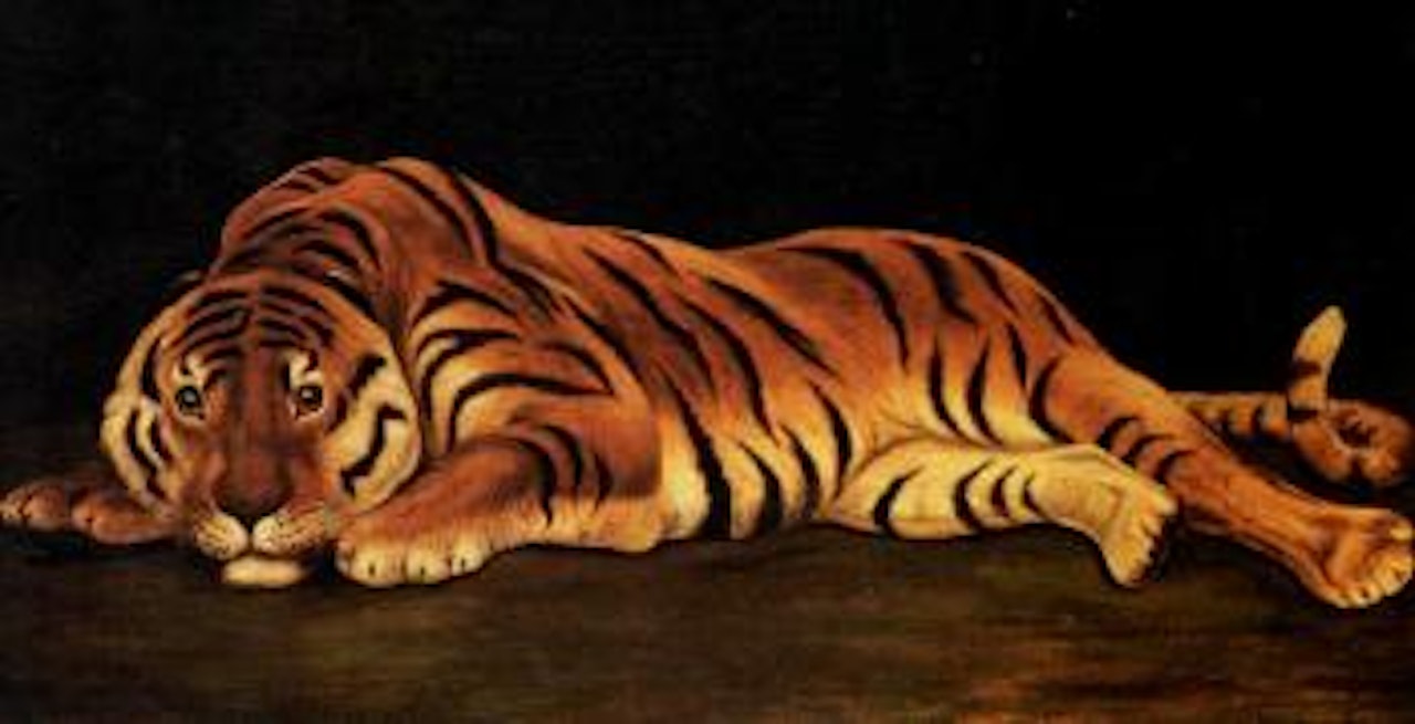 Recumbent Tiger by English School