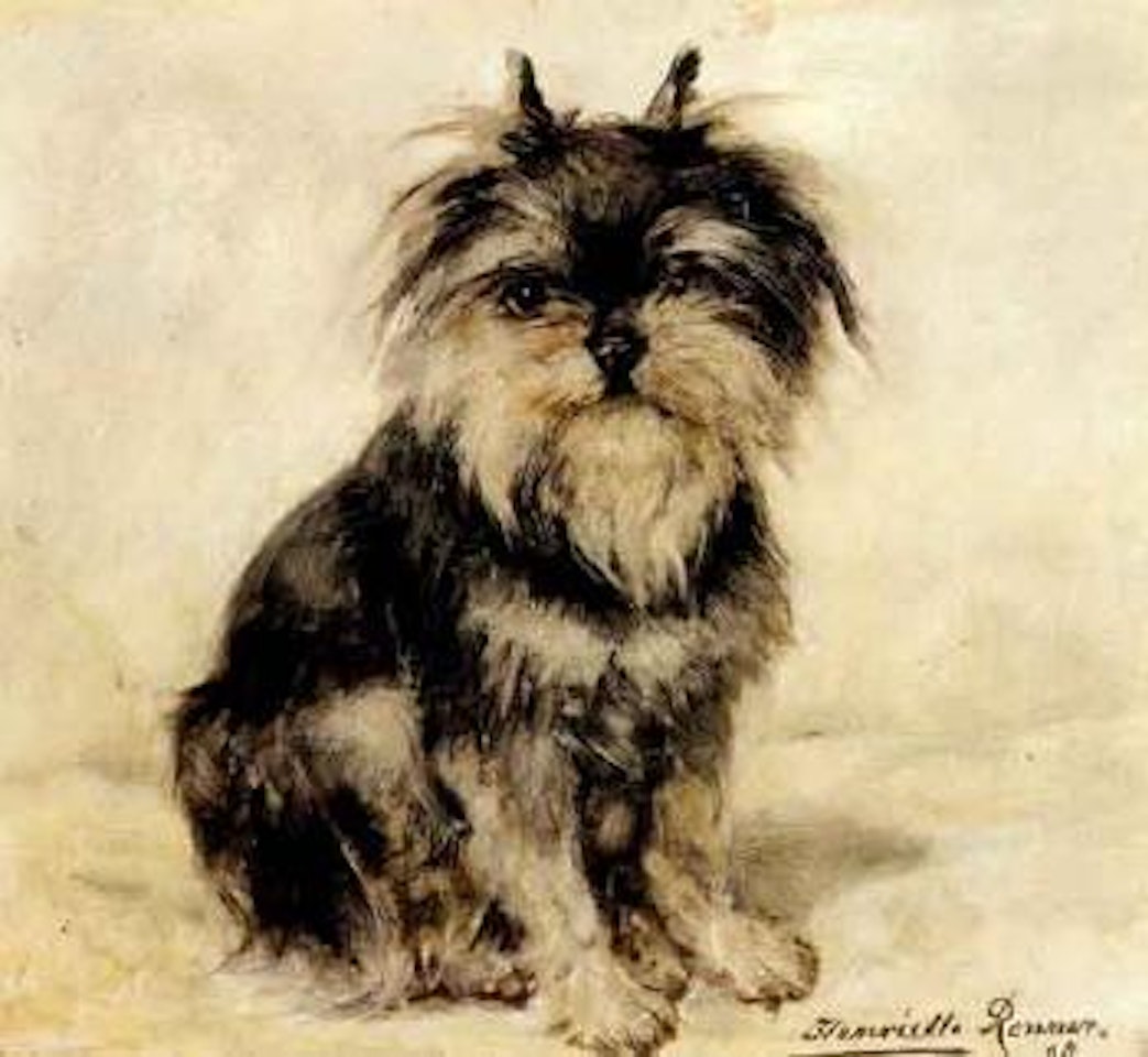 Schnautzer by Henriette Ronner-Knip