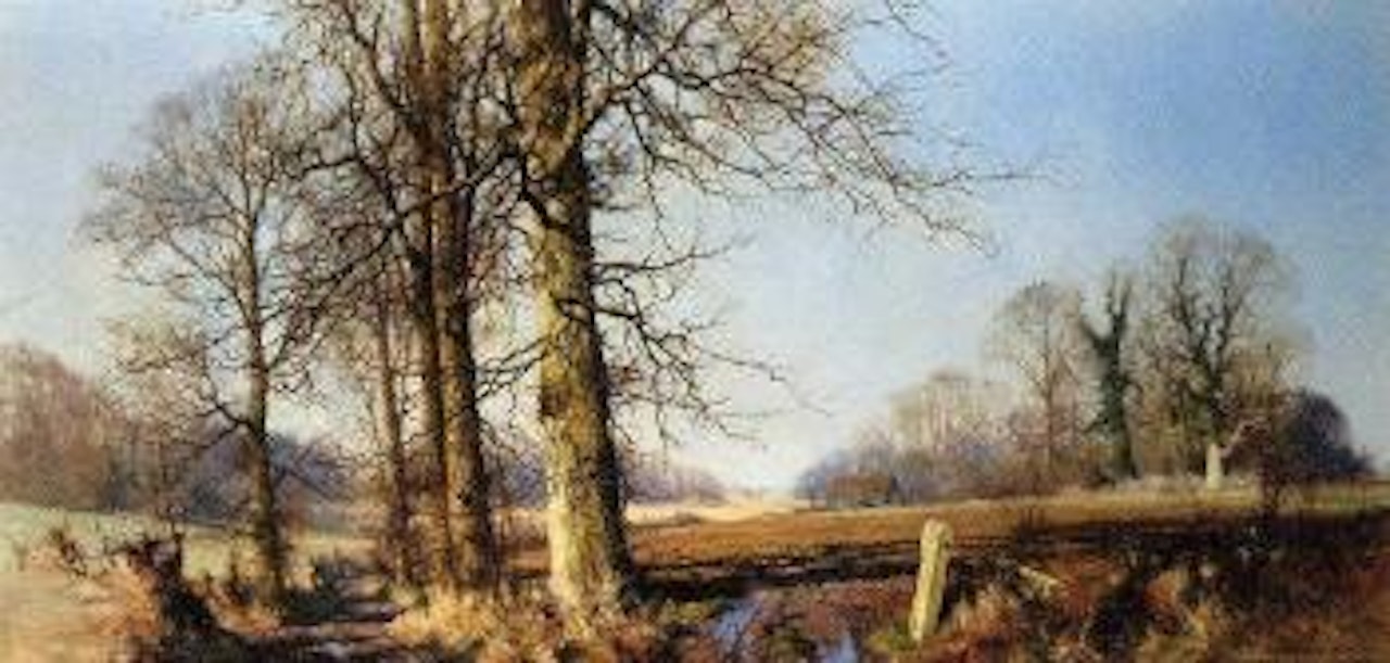 March sunlight by David Shepherd