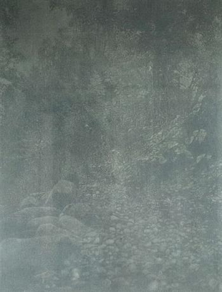 Ruschegg 1 by Franz Gertsch