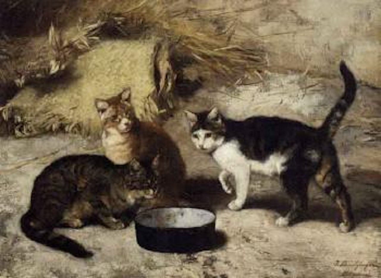 Three kittens by bowl by Josef Schmitzberger