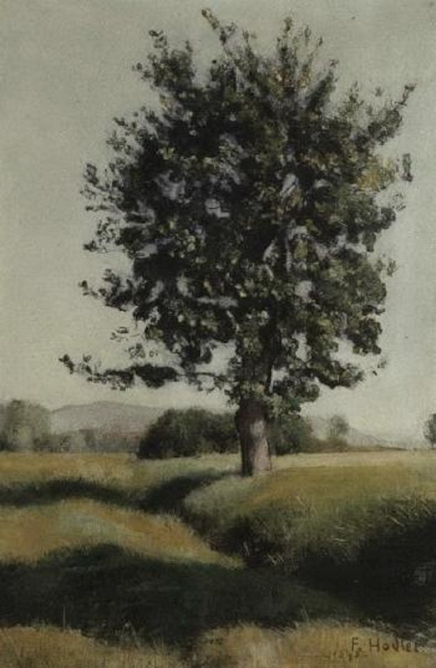 L'arbre by Ferdinand Hodler