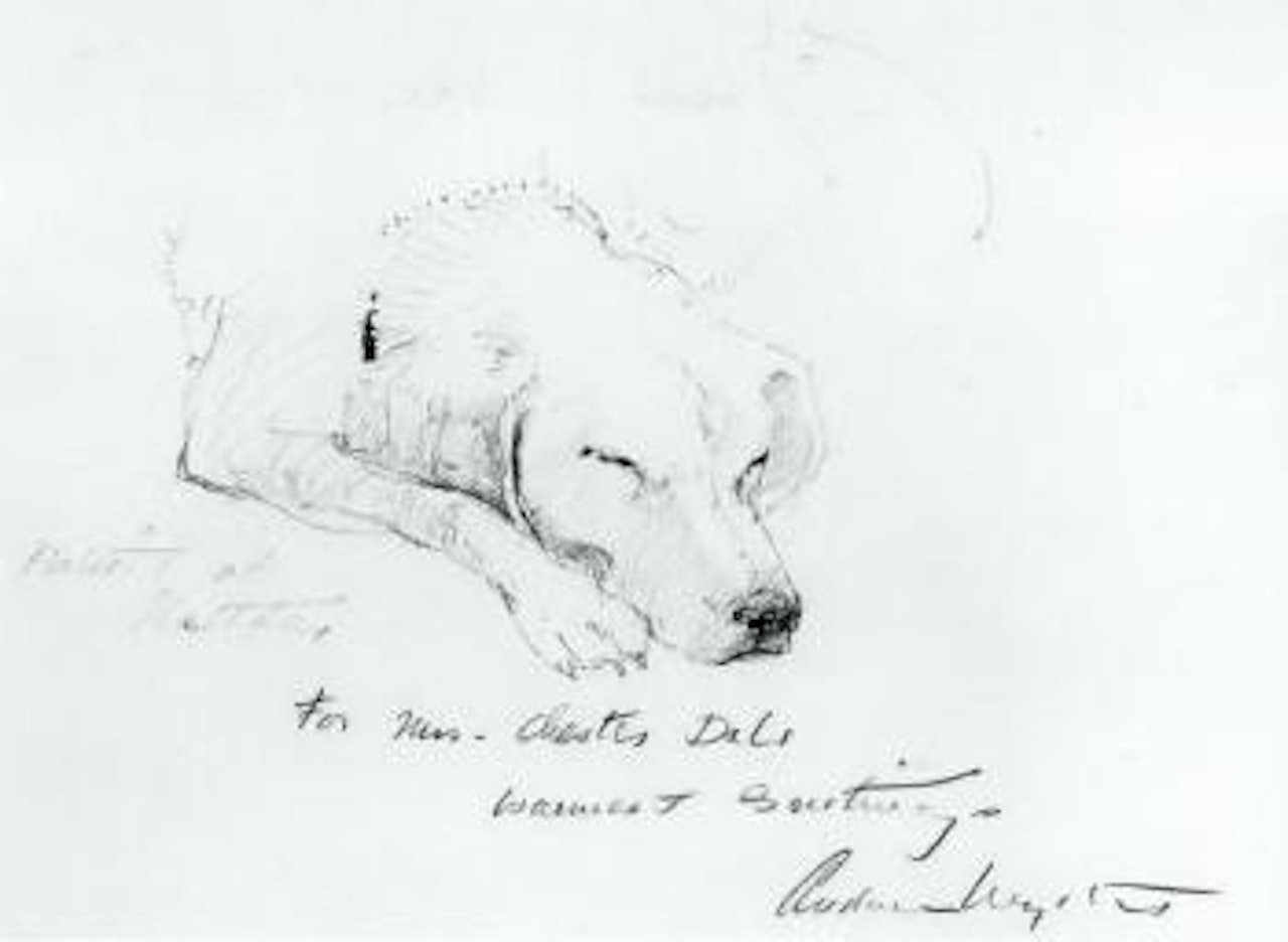 Portrait of rattler by Andrew Wyeth