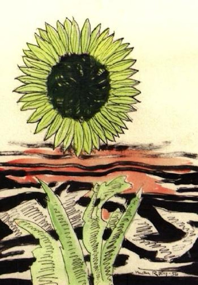 Tournesol by Man Ray
