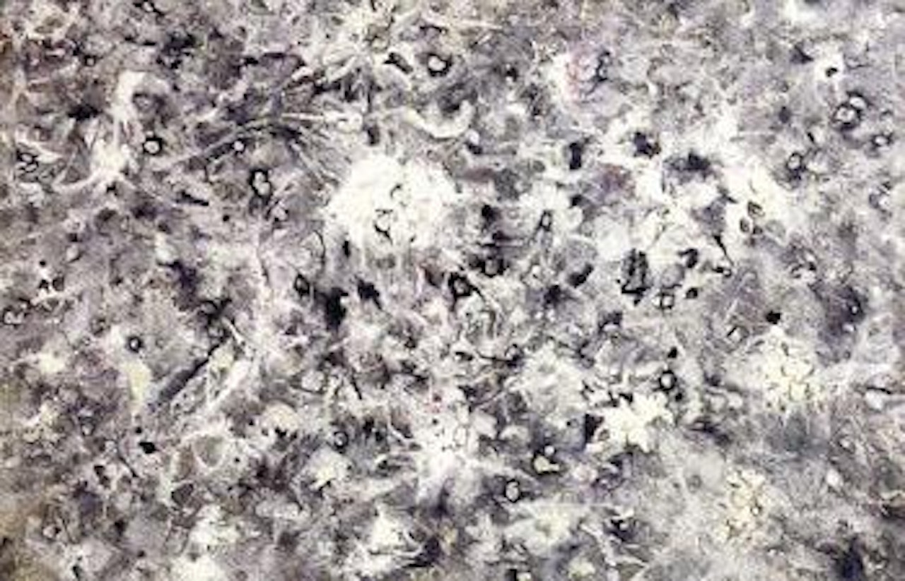 Untitled by Mark Tobey