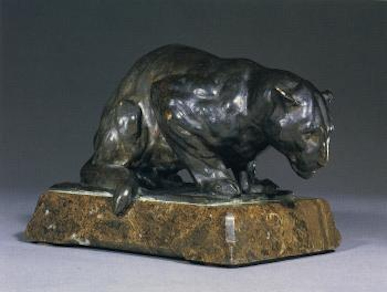 Jaguar accroupi by Rembrandt Bugatti