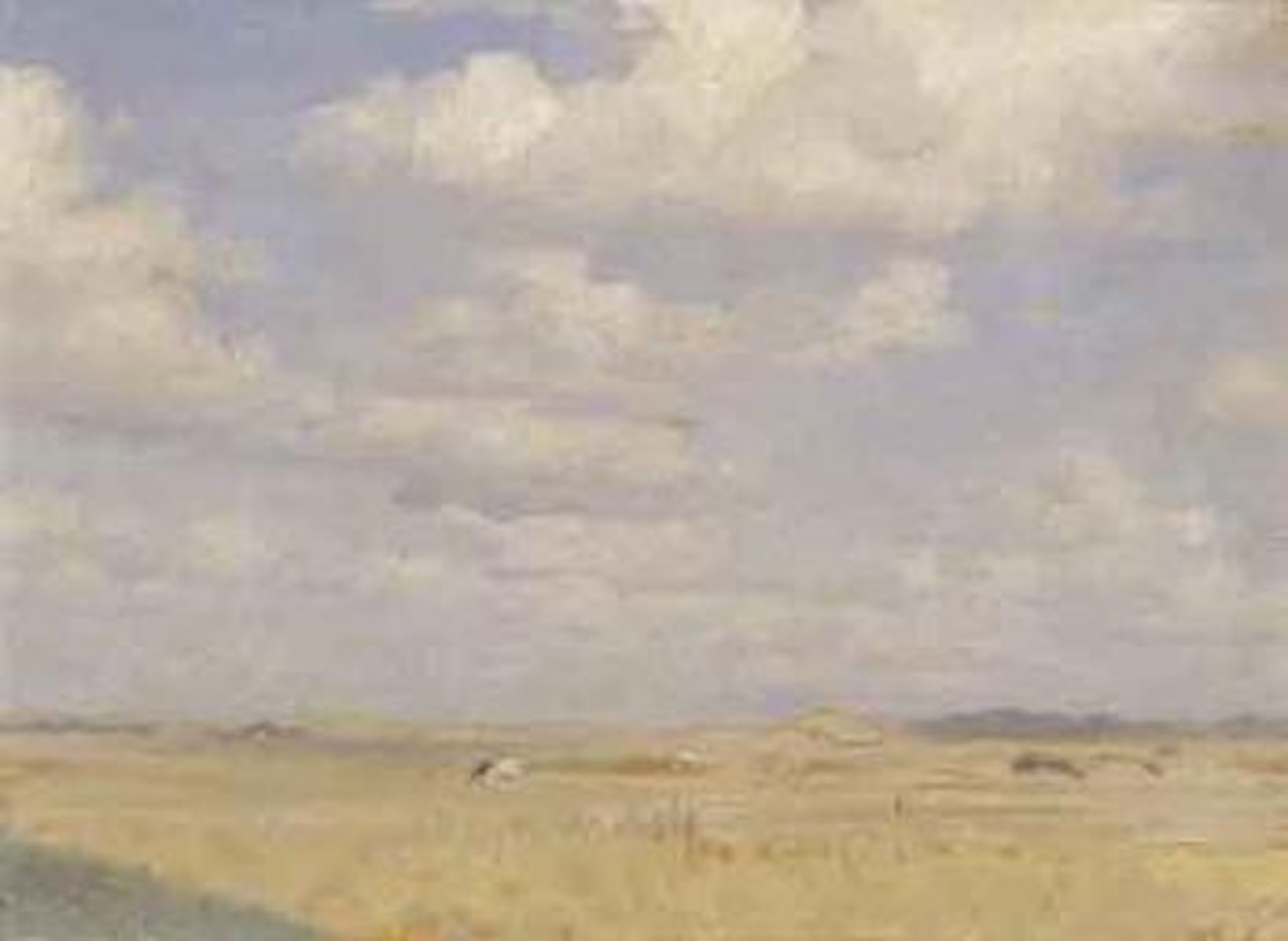 Skagens sol, sollyst landscape med faar - sunlight, Skagen by Peder Severin Kröyer