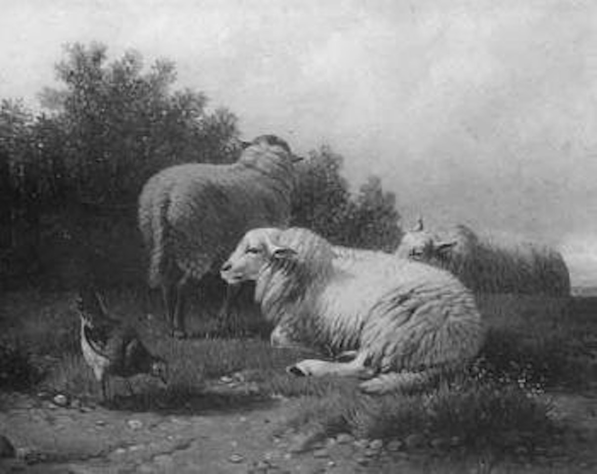 Highland, lowland sheep by Eugène Joseph Verboeckhoven