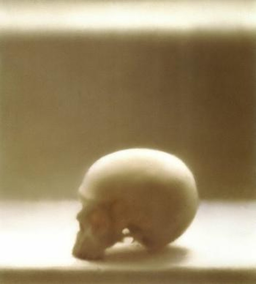 Schaedel 545-3 by Gerhard Richter