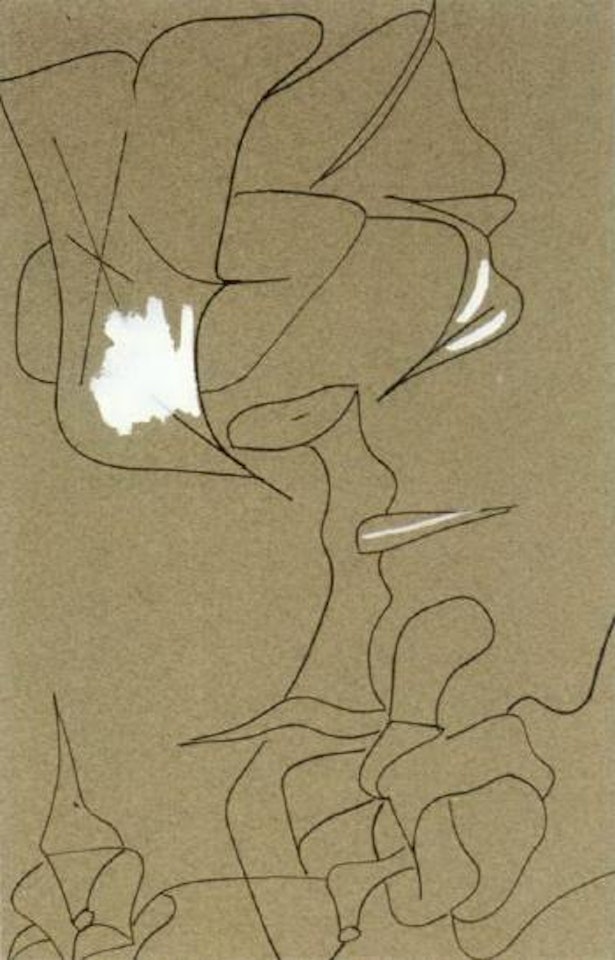 Untitled by Arshile Gorky