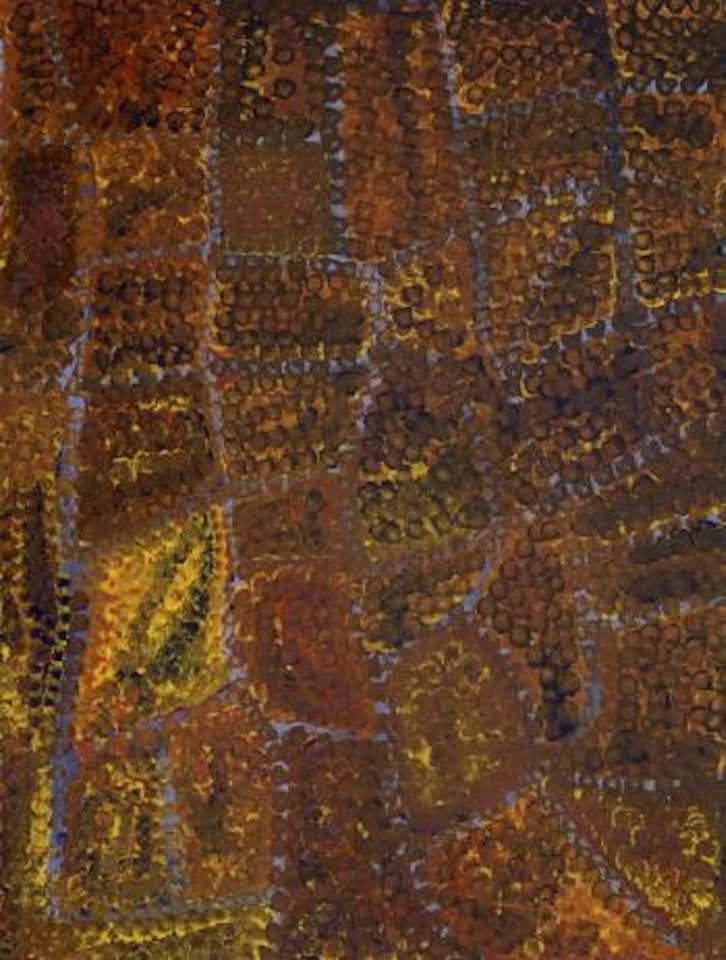 My country by Emily Kame Kngwarreye