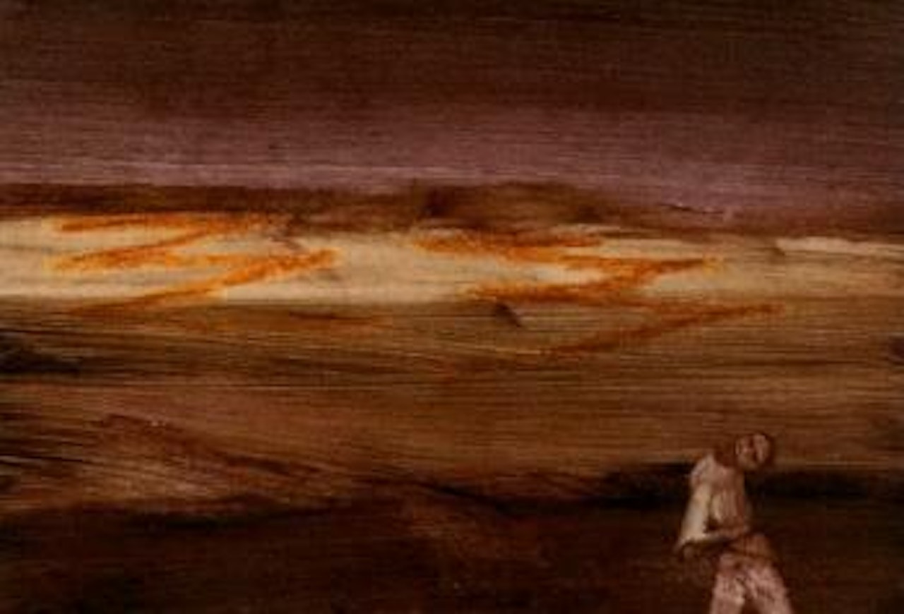 Explorer by Sidney Nolan