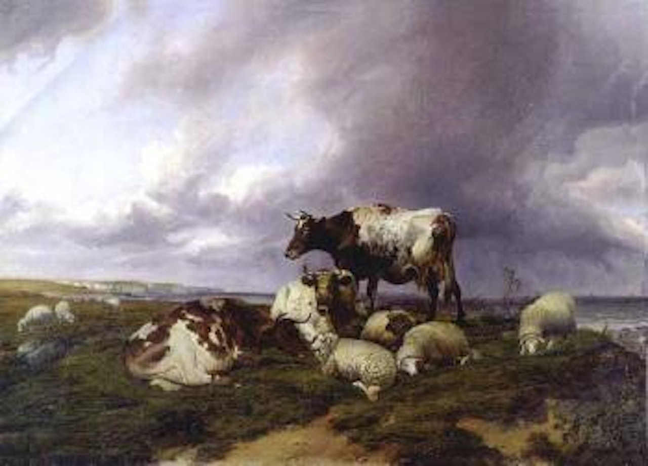 Cattle and sheep resting with cliffs of Dover in background by Thomas Sidney Cooper