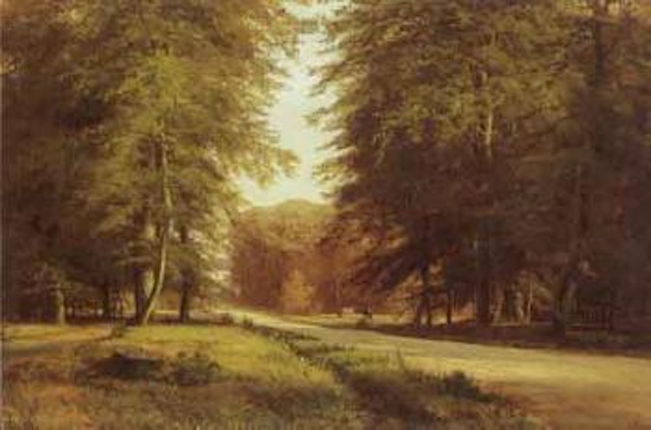Road through Charlottenlund woods by Anders Andersen-Lundby