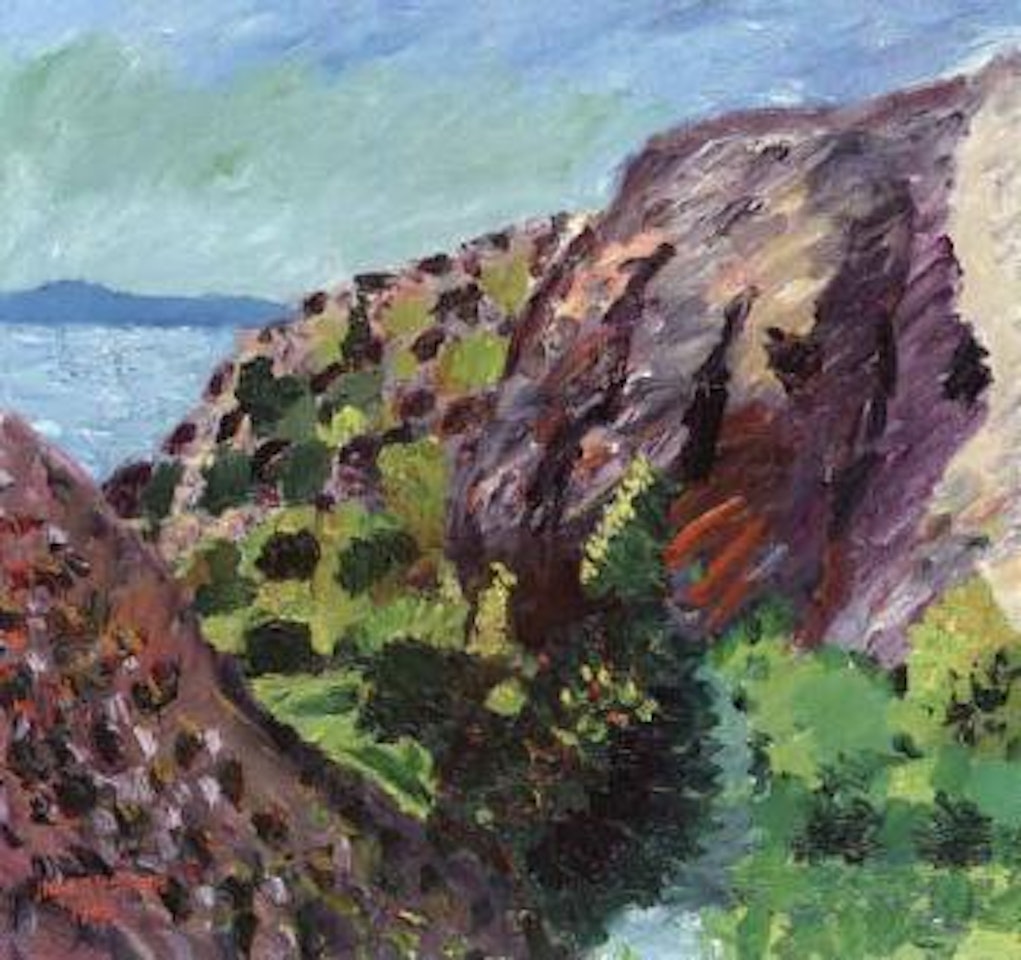 Coastal cliffs with flowers by bay by Inge Schiöler