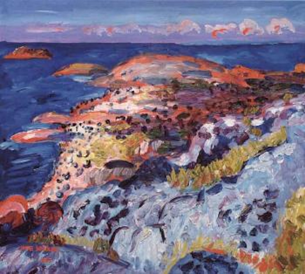 Rocky shore, North Koster by Inge Schiöler