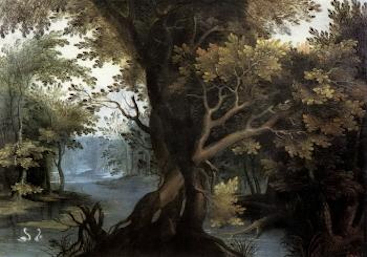 Wooded landscape with two swans on river by Abraham Govaerts